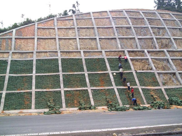 �S�������^�U�����֧�o(h��)��ֲ����Һ������ֲ��